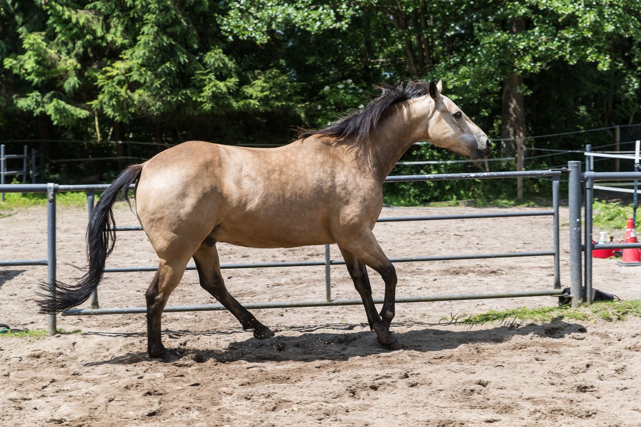 Bild 173 - Vivi